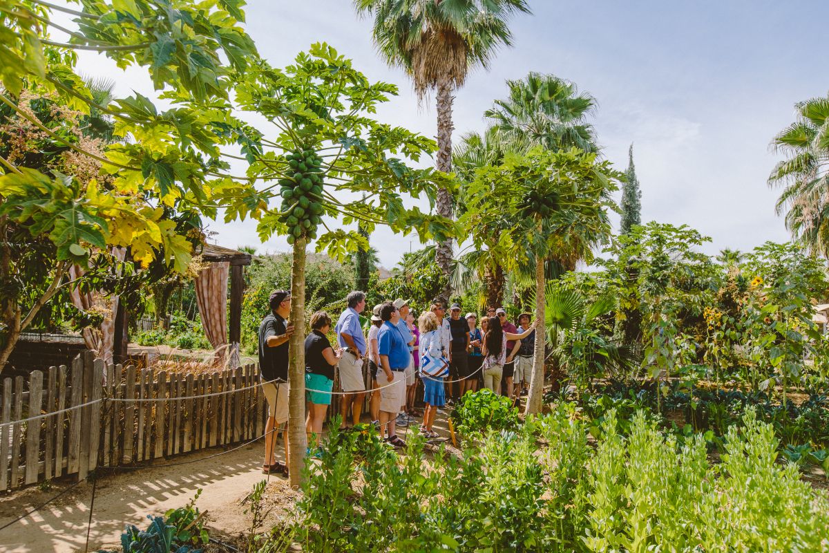 Visitor tour at Flora Farms.jpg